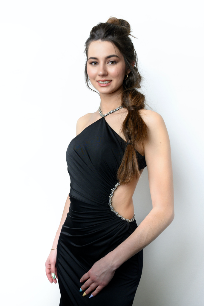 Adisa Suljic